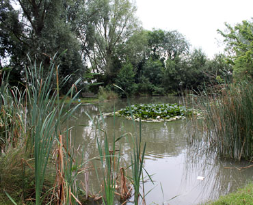 fishing lake pond